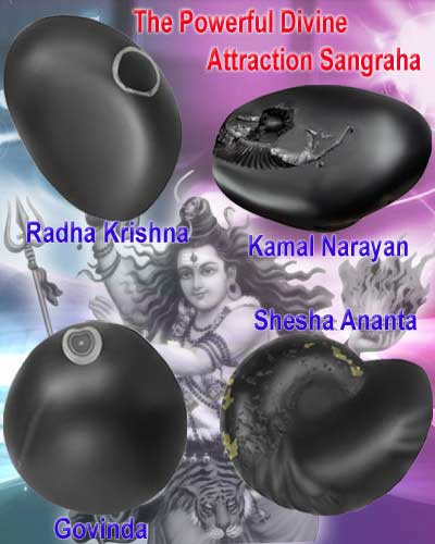 Auspicious The Powerfull Divine Attraction Collection-DAS001